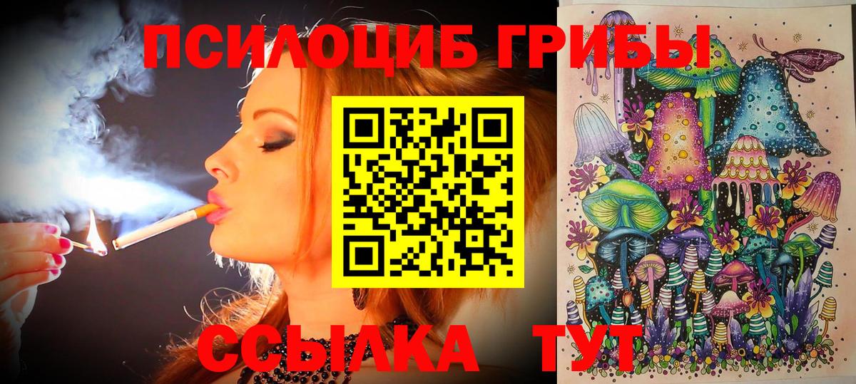 Галлюциногенные грибы Psilocybe Южно-Сахалинск