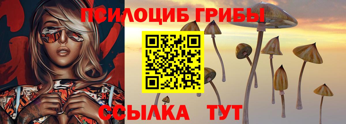 Галлюциногенные грибы Cubensis  Вход с VPN  Южно-Сахалинск 